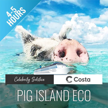 Amazing Pig Island Tour - Cruise Ship Tours - kohsamui.tours